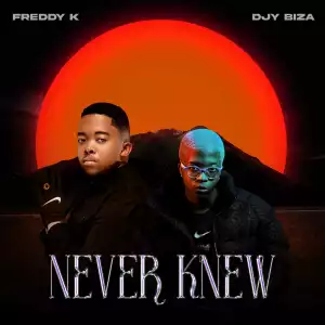 Freddy K & Djy Biza – Pure Blend