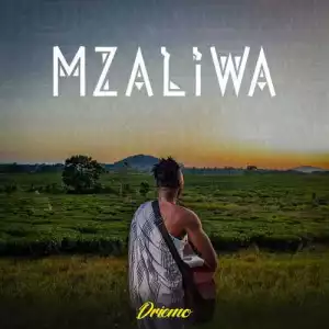 Driemo MW – Mzaliwa (Album)