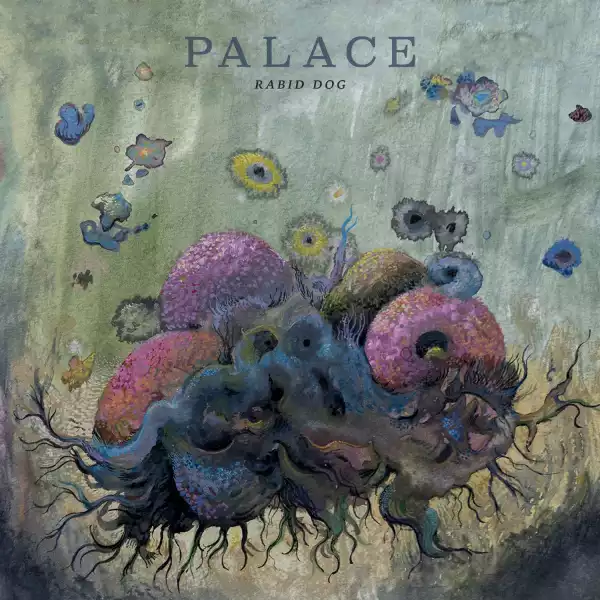 Palace – Rabid Dog