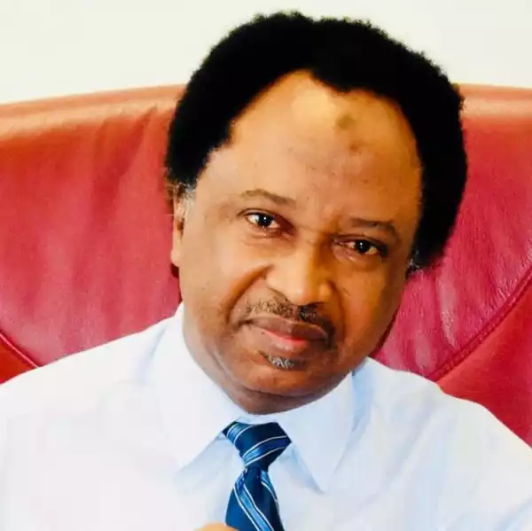 2023 Elections: There Are Some States With Results That Shows That The People Are Not Tired of Suffering - Shehu Sani