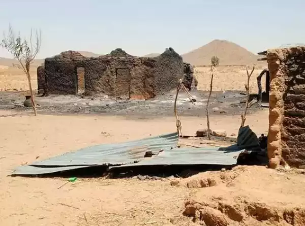 One Person Killed, Scores Displaced As Suspected Herdsmen Invade Yobe Community