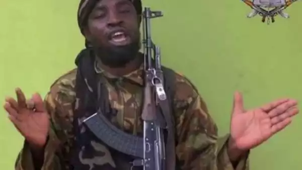 Reps Member Sacks Aide For Describing Abubakar Shekau As A “True Hero”