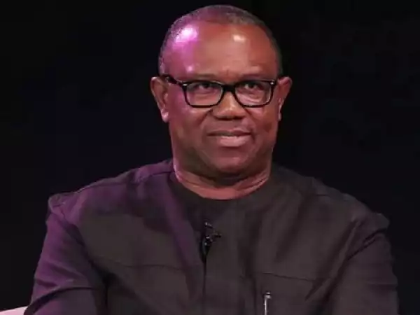 N3.5bn Fraud: LP Chairmen Beg Peter Obi to Compel Julius Abure to Step Down for Probe