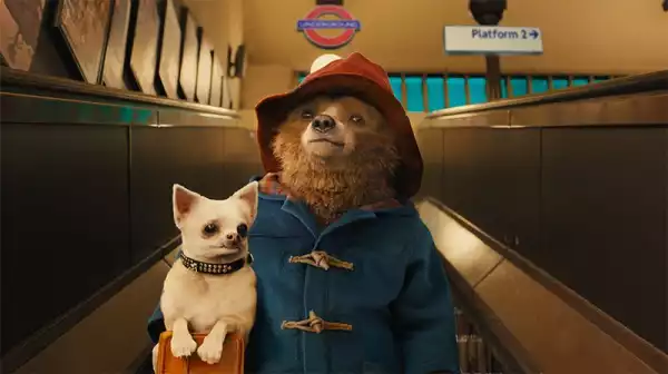 Paddington 3 Gets Official Title and Director