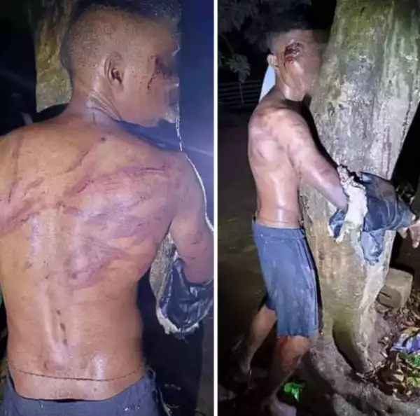 Man Handcuffed To Tree And Brutalized For Stealing Exotic Fruits