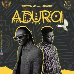 Terry G ft. Skiibii – Adura (Prod. Young John)