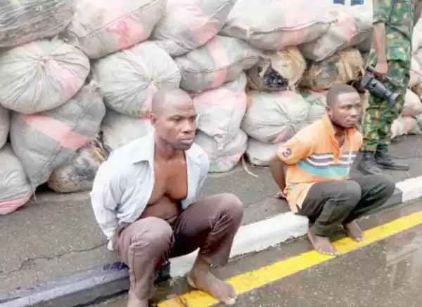 Two Ghanaian Nationals Arrested With N250M Worth Of Indian Hemp In Lagos