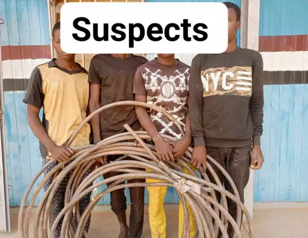 NSCDC Arrests Four Electric Cable Vandals In Jigawa