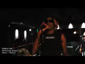 Fireboy DML - shade Live performer (Video)
