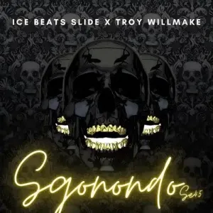 Ice Beats Slide & Troy Willmake – Sgonondo De 45 (Album)
