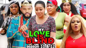 My Love Is Blind Season 11 & 12