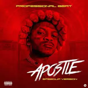 Professional Beat – Apostle (Speed Up Version)