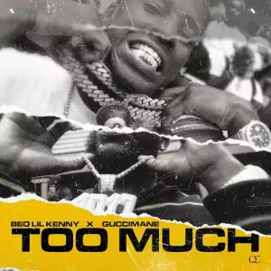 Beo Lil Kenny Ft. Gucci Mane – Too Much