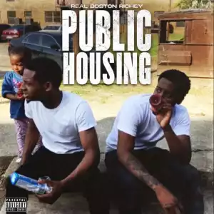 Real Boston Richey - Public Housing (Album)