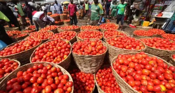 Businessman jailed six months for cheating tomato seller