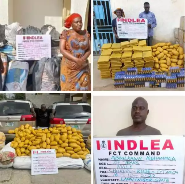 NDLEA Arrests Four Wanted Kingpins Over 16 Tons Illicit Drugs In Lagos And Abuja (Photos)
