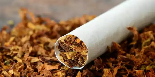 Group seeks President’s support on anti-tobacco laws