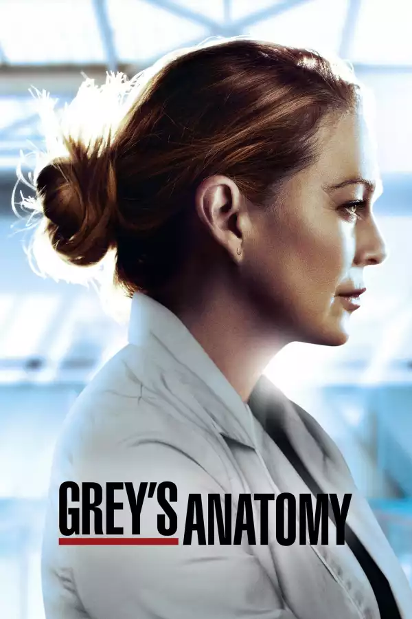 Greys Anatomy S17E08