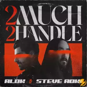 Alok & Steve Aoki – 2 Much 2 Handle