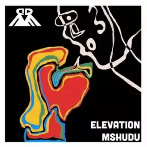 Mshudu – Duduzile Ft. stemz (instrumental)