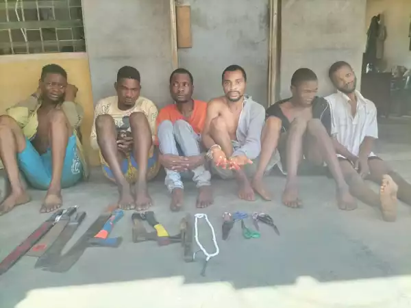 Private University Staff, Five Others Arrested For Cultism In Ogun, Ammunition Recovered