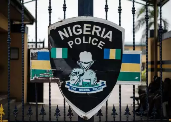 Fake Female Police Officer Exposed As Informant Of Unknown Gunmen In Imo - Crime