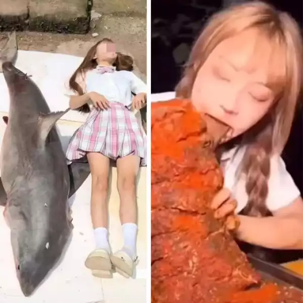 Chinese food blogger fined $18,500 for cooking and eating a great white shark