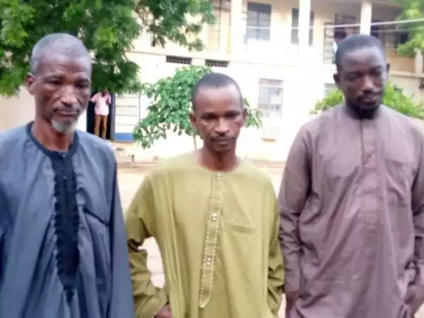 JUST IN!!! Katsina State Government Arrests 3 Suspected Bandits On Payroll