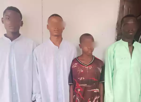 Police Arrest Armed Robbery Suspects Including A 13-year-old Boy In Adamawa