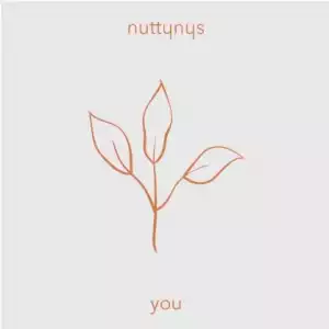 Nutty Nys – You