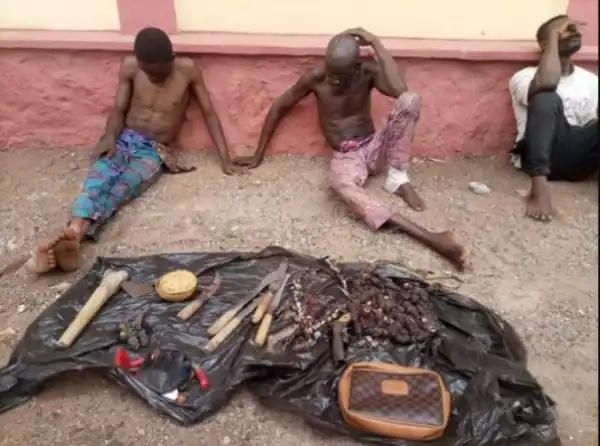 Deadly Cultist, Bababu, Others Busted With Guns, Machetes In Ogun