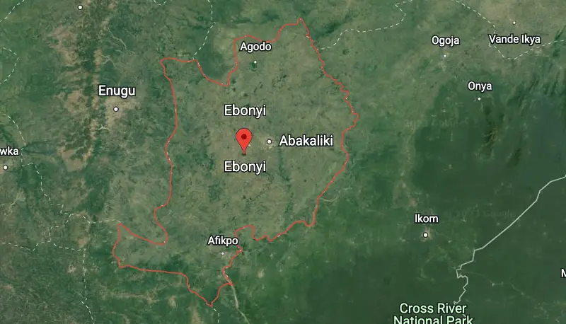 Polls: Ohanaeze youths call for disbandment of Ebube Agu in Ebonyi