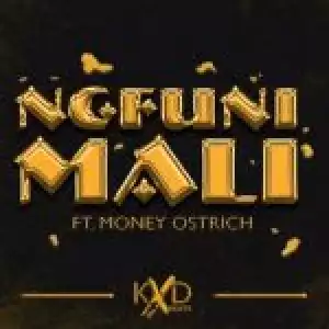KXD BEATS – Ngfuni Mali ft Money Ostrich