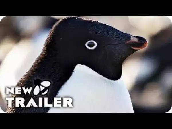 Penguins (2019) (Official Trailer)