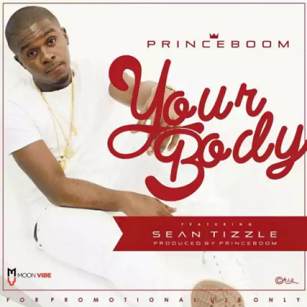Prince Boom - Your Body Ft Sean Tizzle