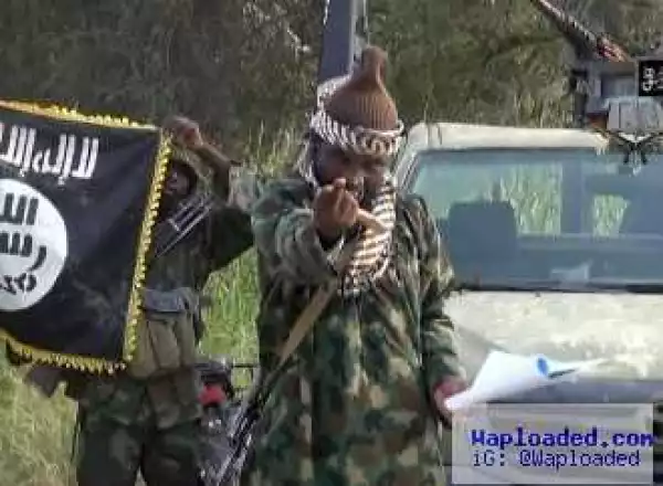 Boko Haram Kills Seven In Suicide Attack In Borno